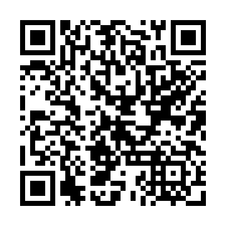 QR code for plate VJH 383