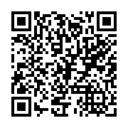 QR code for VJM 304
