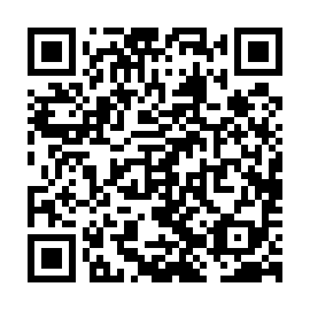 QR code for VJP 599