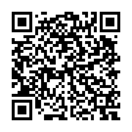 QR code for VKI 450