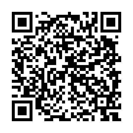 QR code for plate VKN 493