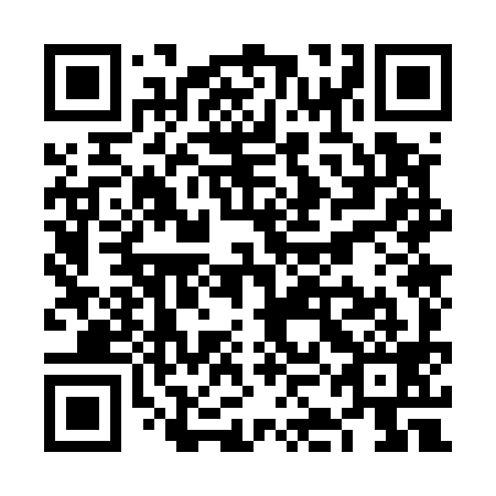 QR code for VKO599