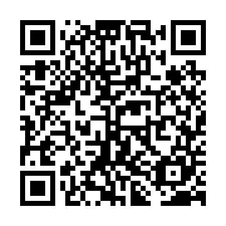 QR code for plate VLG 245