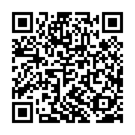 QR code for VLP029