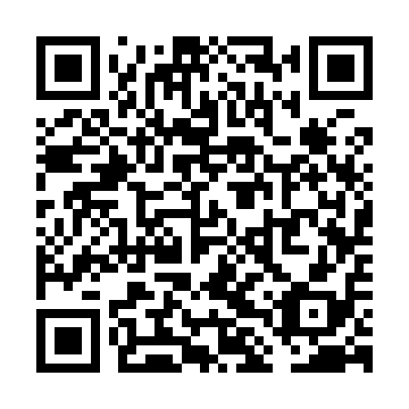 QR code for VLS 918