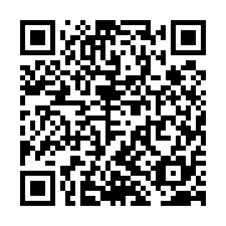 QR code for plate VLU 515