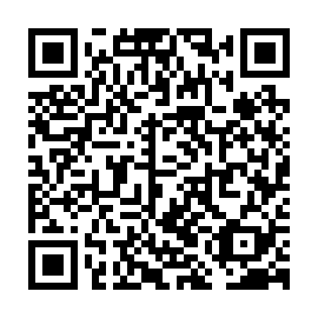 QR code for plate VMG 229