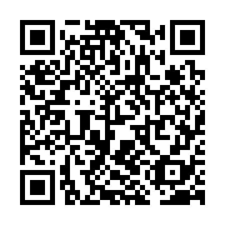 QR code for plate VMG 378