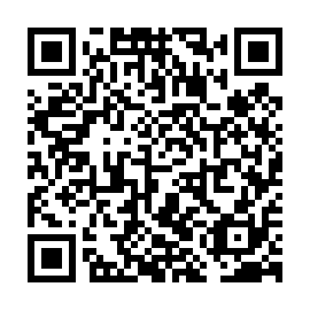 QR code for plate VMG 410