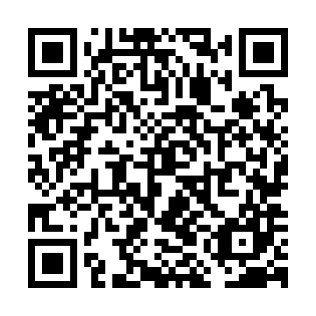 QR code for VMN387