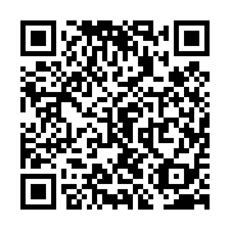QR code for plate VMQ 419