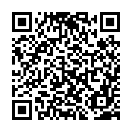 QR code for VMV 256