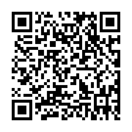 QR code for plate VMV 993