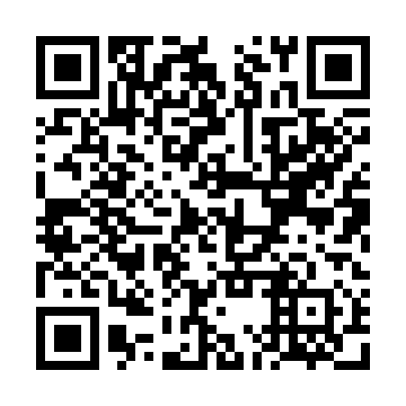QR code for plate VMX 310
