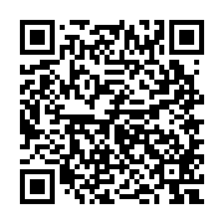 QR code for VNE 389