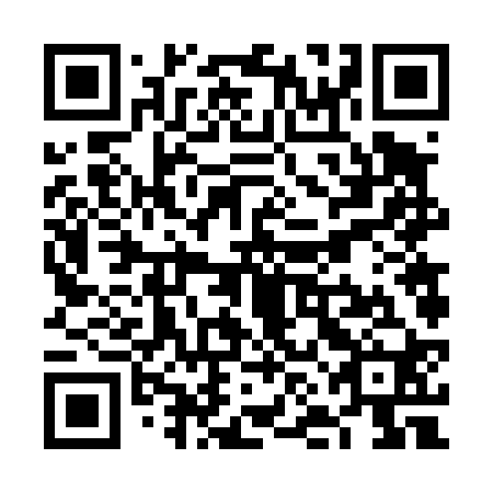 QR code for plate VNF 420