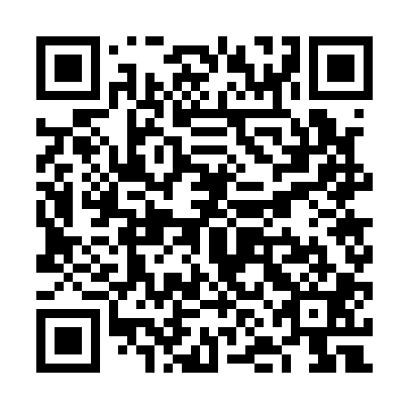 QR code for VNG 101