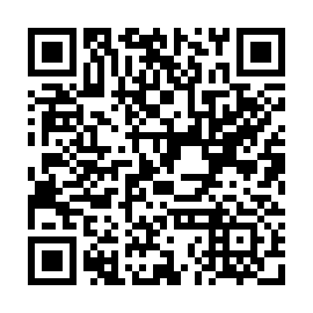 QR code for VNH333