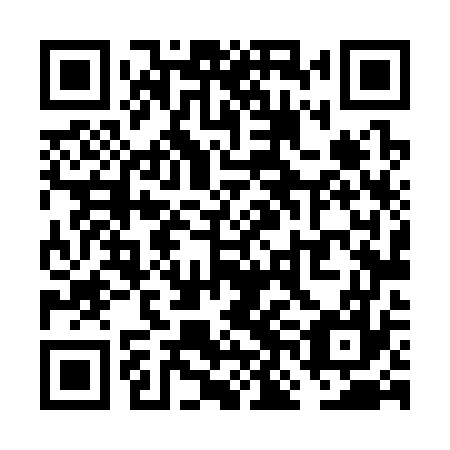 QR code for VNL 377