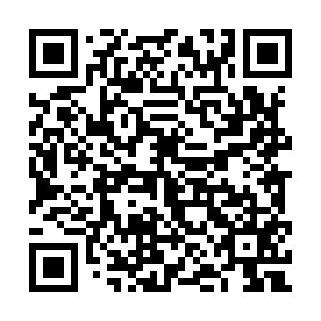 QR code for VNL955