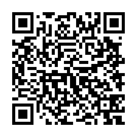 QR code for VNN 038