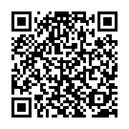 QR code for VNN 289