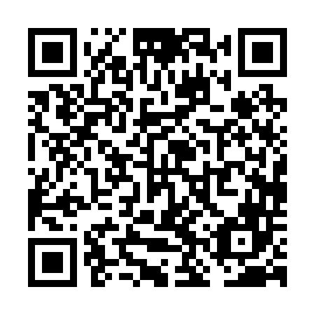 QR code for VNP246