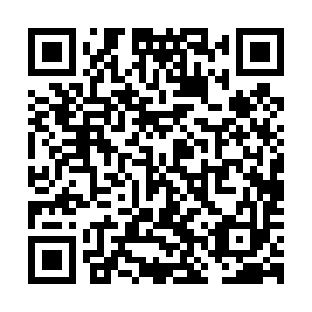 QR code for plate VNP 493