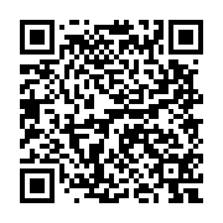 QR code for plate VNP 514
