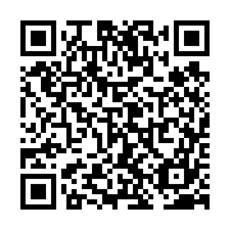 QR code for plate VNS 677