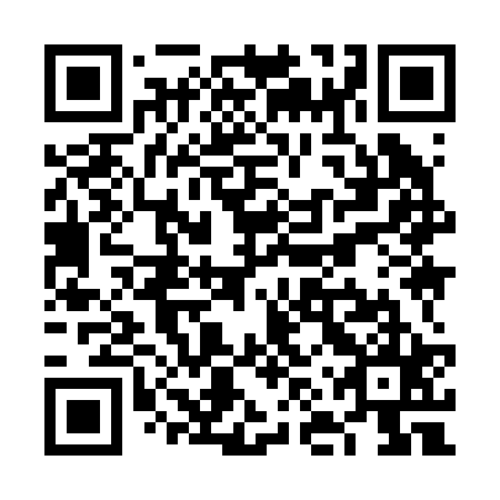 QR code for VNY 225