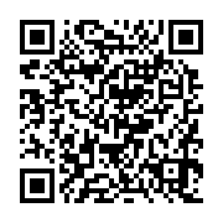 QR code for VPD 370
