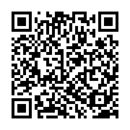 QR code for VPF 311