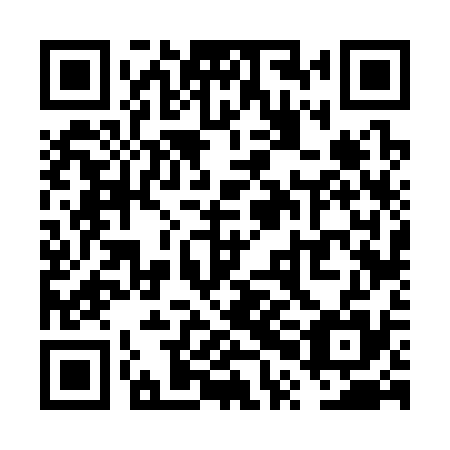 QR code for plate VPF 335