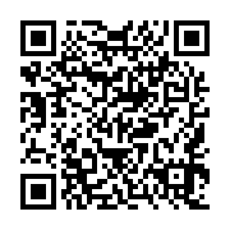 QR code for VPI 155