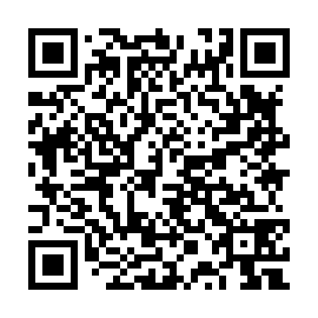QR code for VPI878