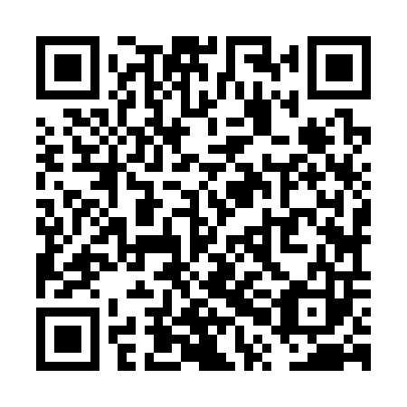 QR code for plate VPJ 303