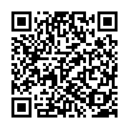 QR code for VPJ379