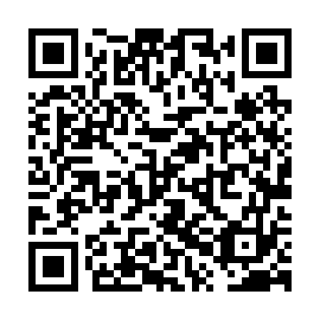 QR code for plate VPL 273