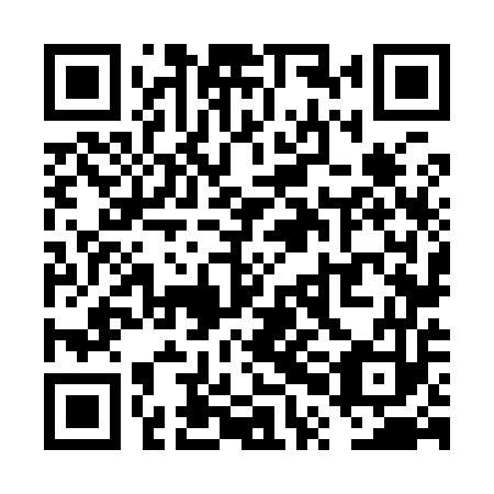 QR code for VPN 953