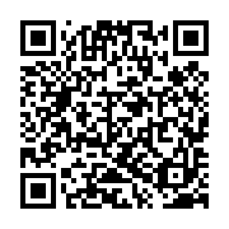 QR code for plate VPN 493