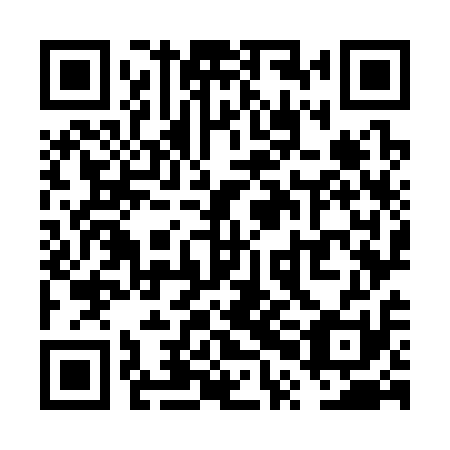 QR code for VPO 311