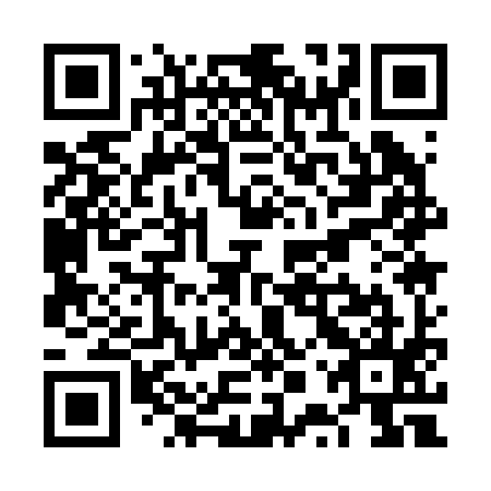 QR code for VPQ295