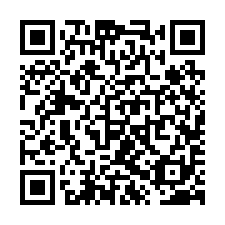 QR code for VPV 291