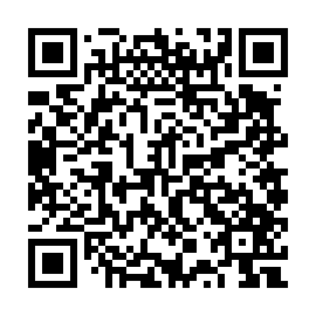 QR code for VPV 447