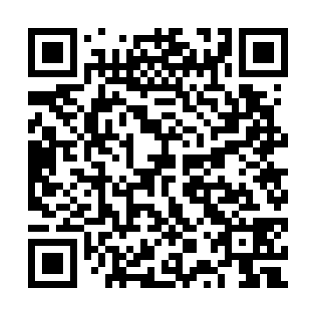 QR code for VPW 738