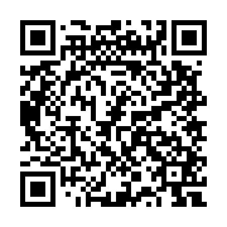 QR code for VPZ 541