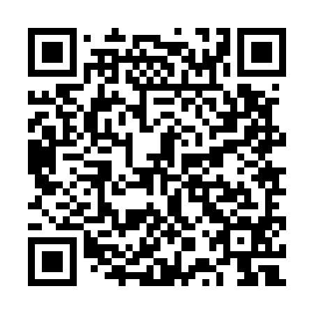 QR code for VPZ 594