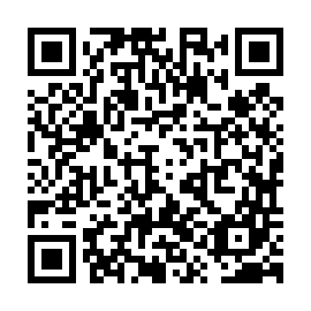 QR code for plate VQJ 447