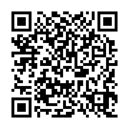 QR code for VQL 333